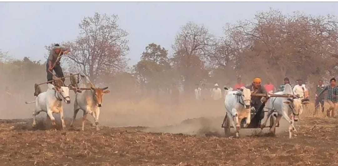 मंगोना खुर्द में जय बजरंग पट प्रतियोगिता 18 से 20 जनवरी तक