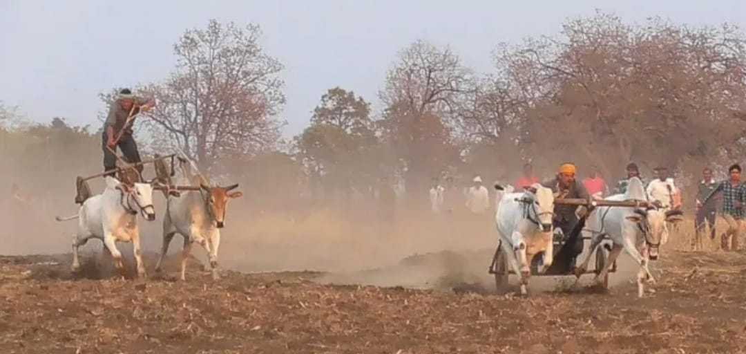 जय बजरंग सेकंड पटर्का आयोजन बरखेड़ ग्राम में 23 से 25 तक होगी पट प्रतियोगिता