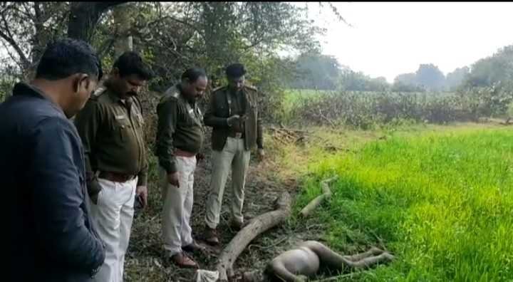खेत में मिली अज्ञात व्यक्ति की लाश