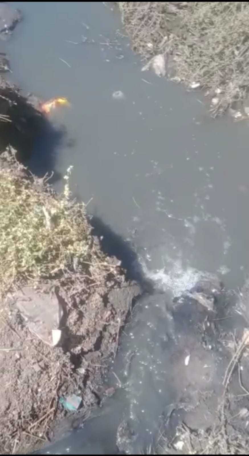 गंदगी से सराबोर वार्ड क्रमांक 4 वार्ड वासियों ने पार्षद से की शिकायत मौके पर पहुंचे पार्षद