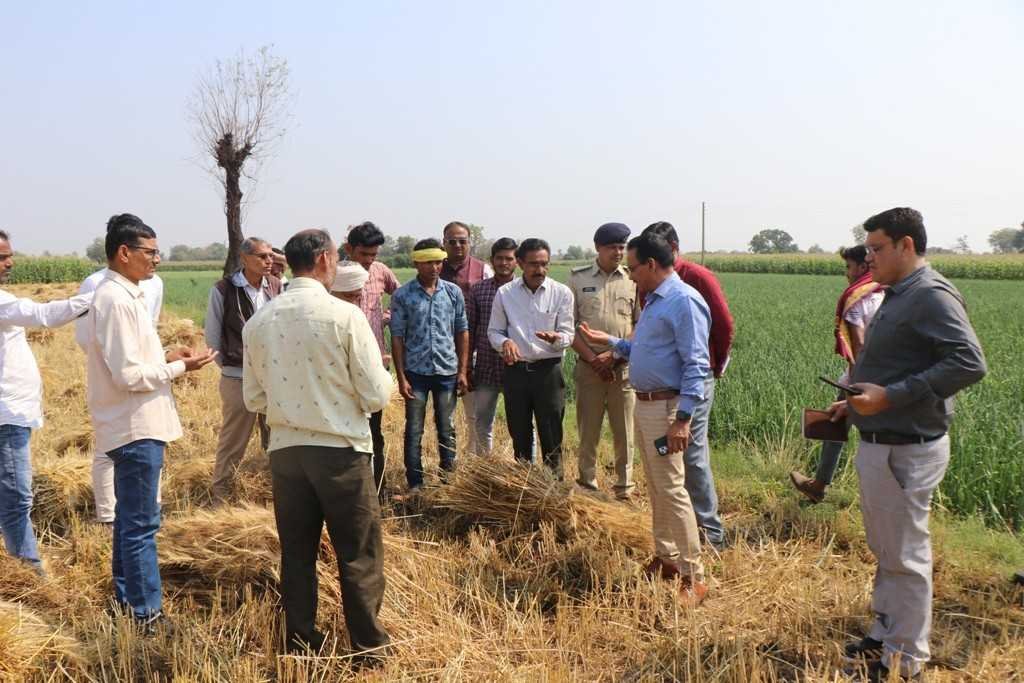 भारी बारिश के बाद कलेक्टर ने किया रूख खेतों की ओर, डिटेल सर्वे रिपोर्ट मांगी