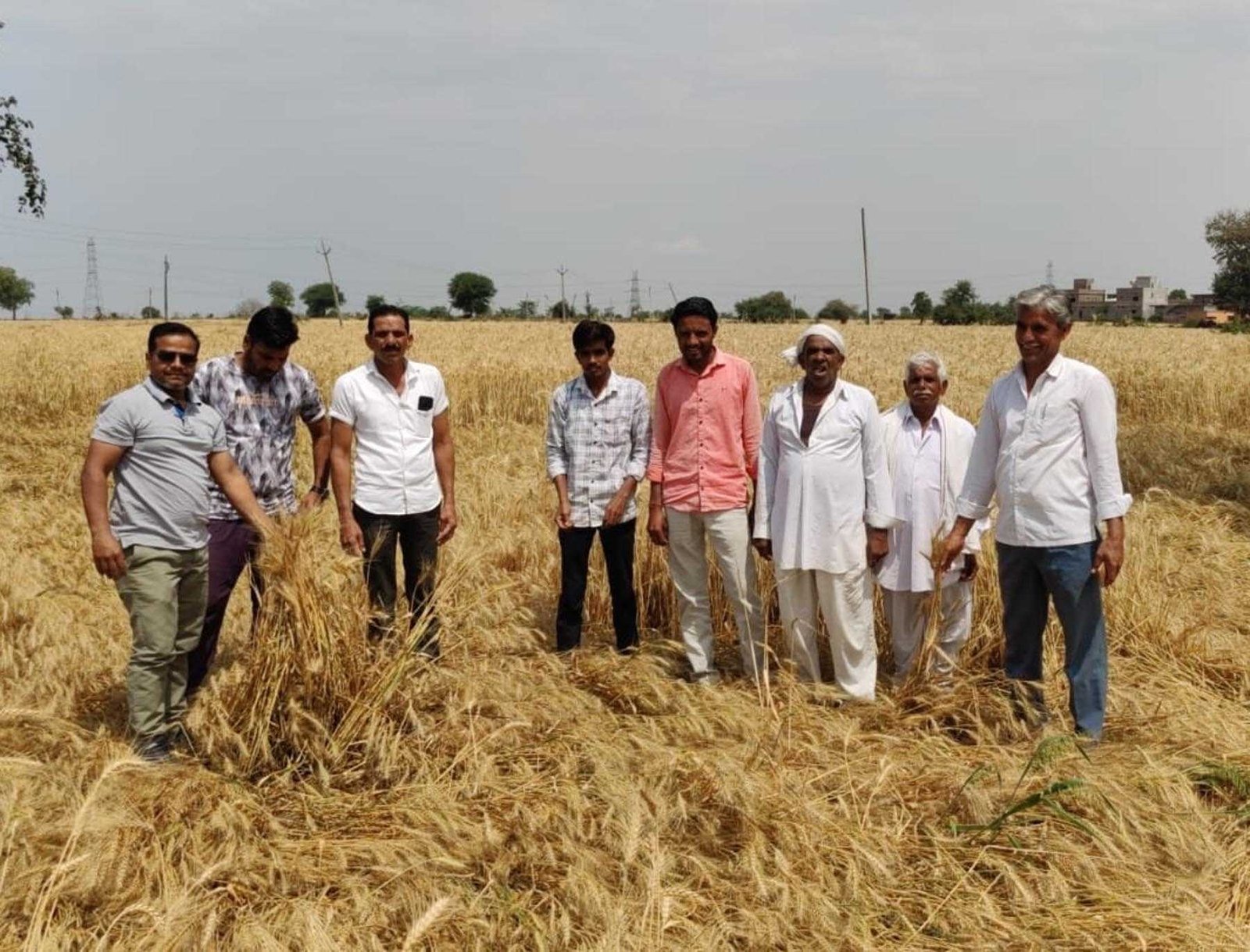 हवा पानी से फसलों को नुकसान, राजस्व विभाग कर रहा सर्वे