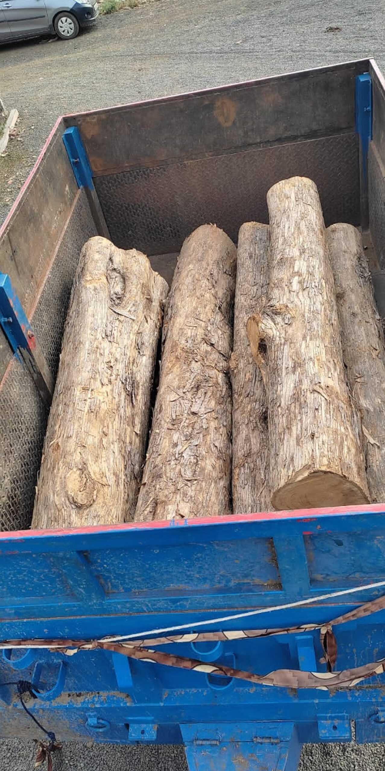 चोरी का ट्रैक्टर-ट्राली सहित आरोपी गिरफ्तार