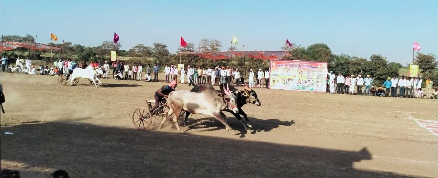 बैलगाड़ी दौड़ प्रतियोगिता…..देवा-मावली ने जीता पहला इनाम  