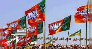 दिल्ली-बिहार समेत इन राज्यों में भाजपा ने बदले प्रदेशाध्यक्ष, जानें किसे-किस राज्य का जिम्मा