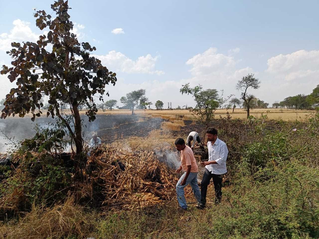 किसानश्रीराम चिलहाटेके ठेके वाले खेत में लगी आग गेहूं की फसल में आग लगने से हुई नुकसानी फायर ब्रिगेड ने आग पर पाया काबू