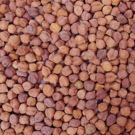 बगैर अनुमति चना का परिवहन प्रतिबंधित