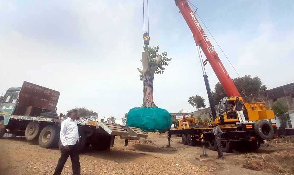 पर्यावरण सरंक्षण का गोयल ने समाज को दिया संदेश