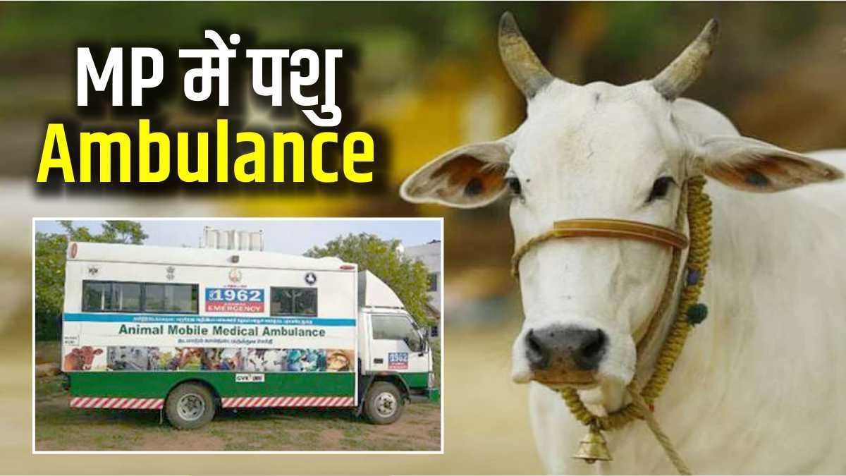 बीमार पशुओं तक पहुँचेगा अस्पताल