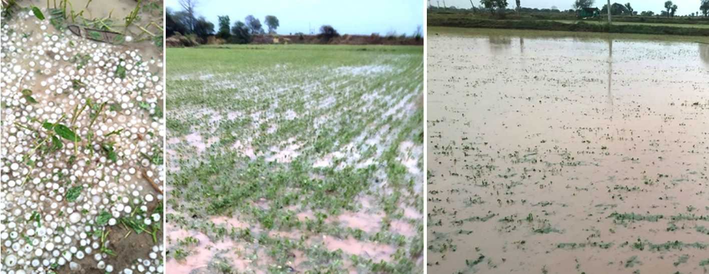 क्षेत्र में आंधी-तूफान के साथ हुई ओलावृष्टि