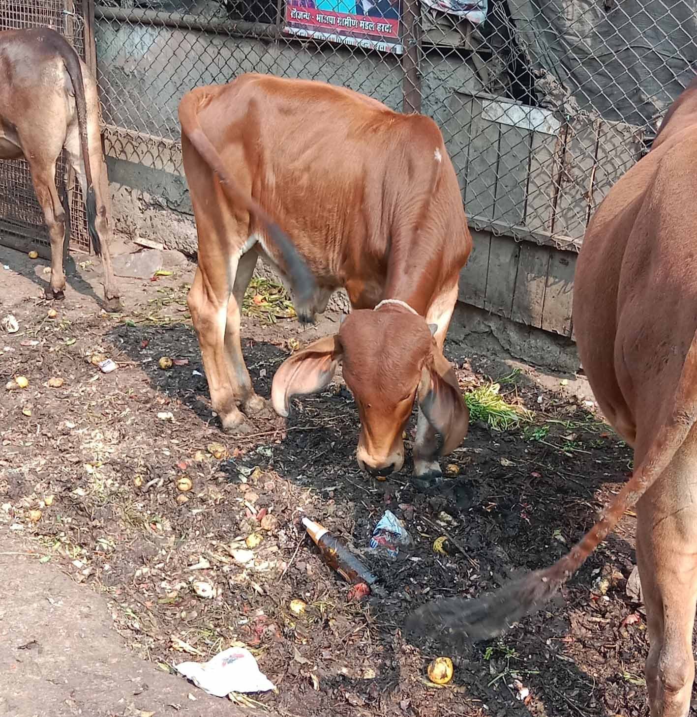 यह बात गलत है…