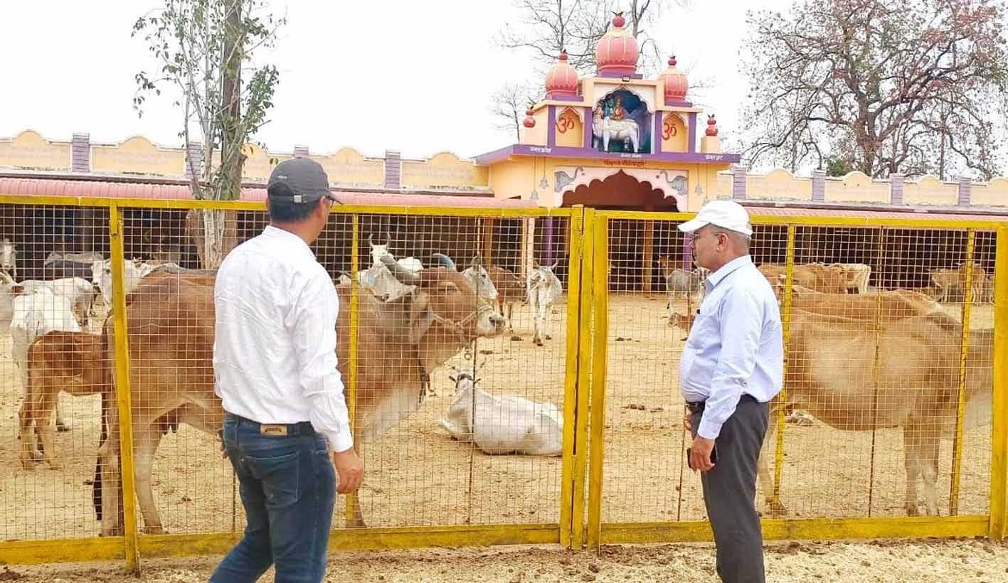 चित्रकला प्रतियोगिता संपन्न