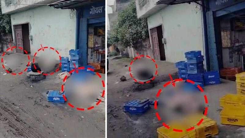फैक्टरी नहीं, यहां से रिसी ‘मौत की गैस’!, दिन निकलते ही लग गया लाशों का ढेर