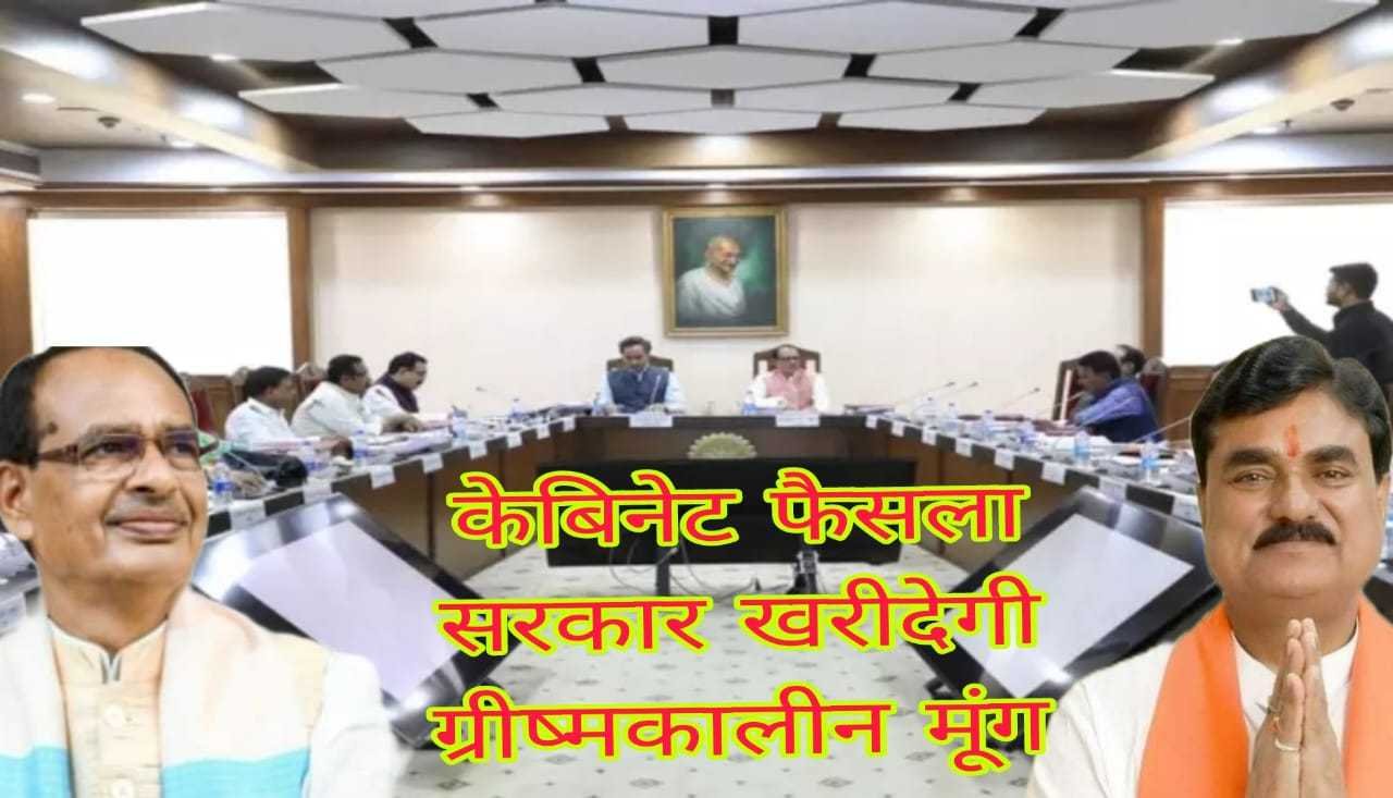 सरकार खरीदेगी ग्रीष्मकालीन मूंग 