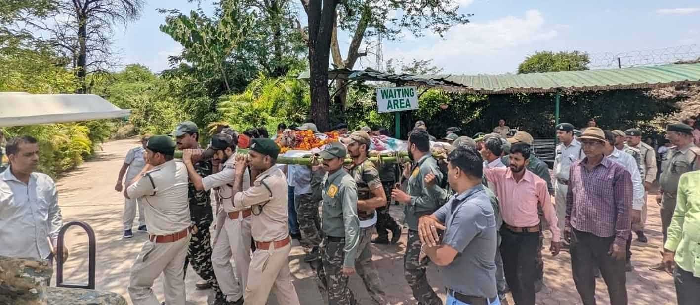 जंगल महकमे के लिए दो बुरी खबर