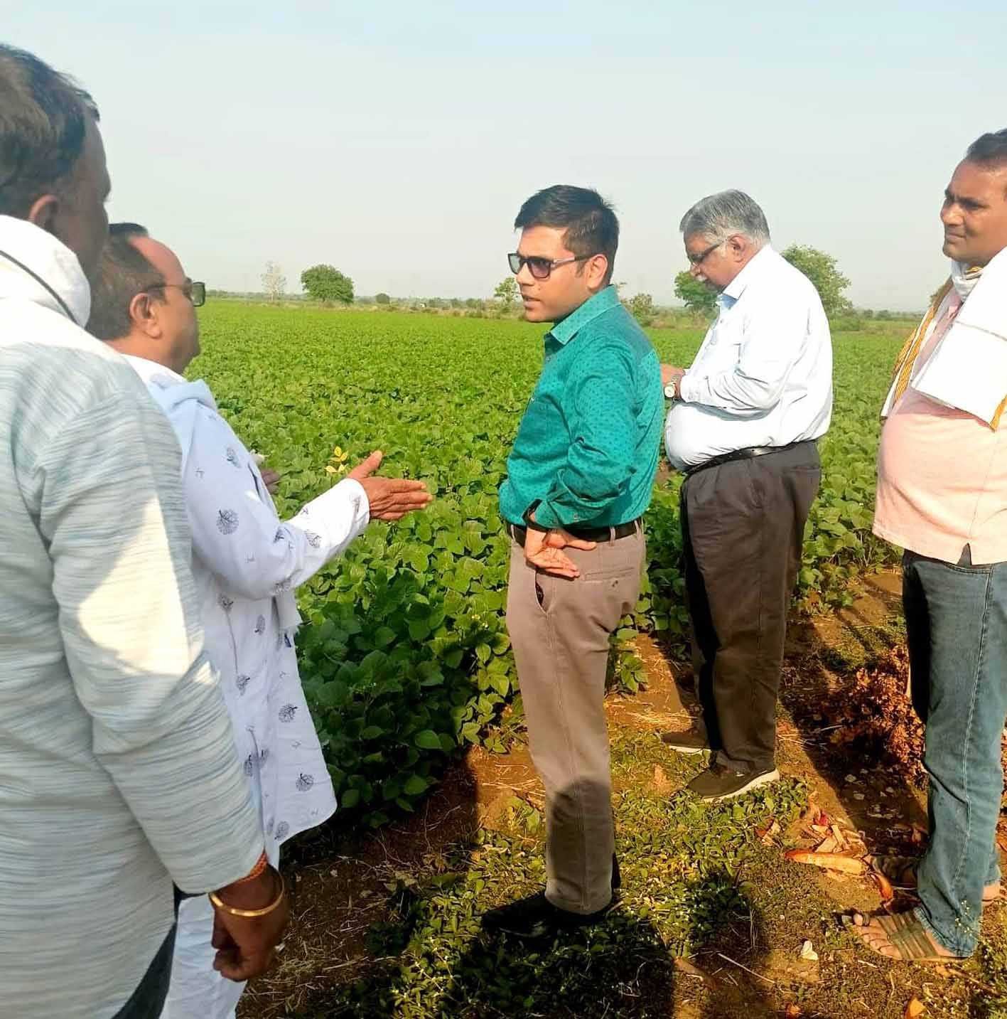 कलेक्टर ने मूंग फसल व नहरों का निरीक्षण किया
