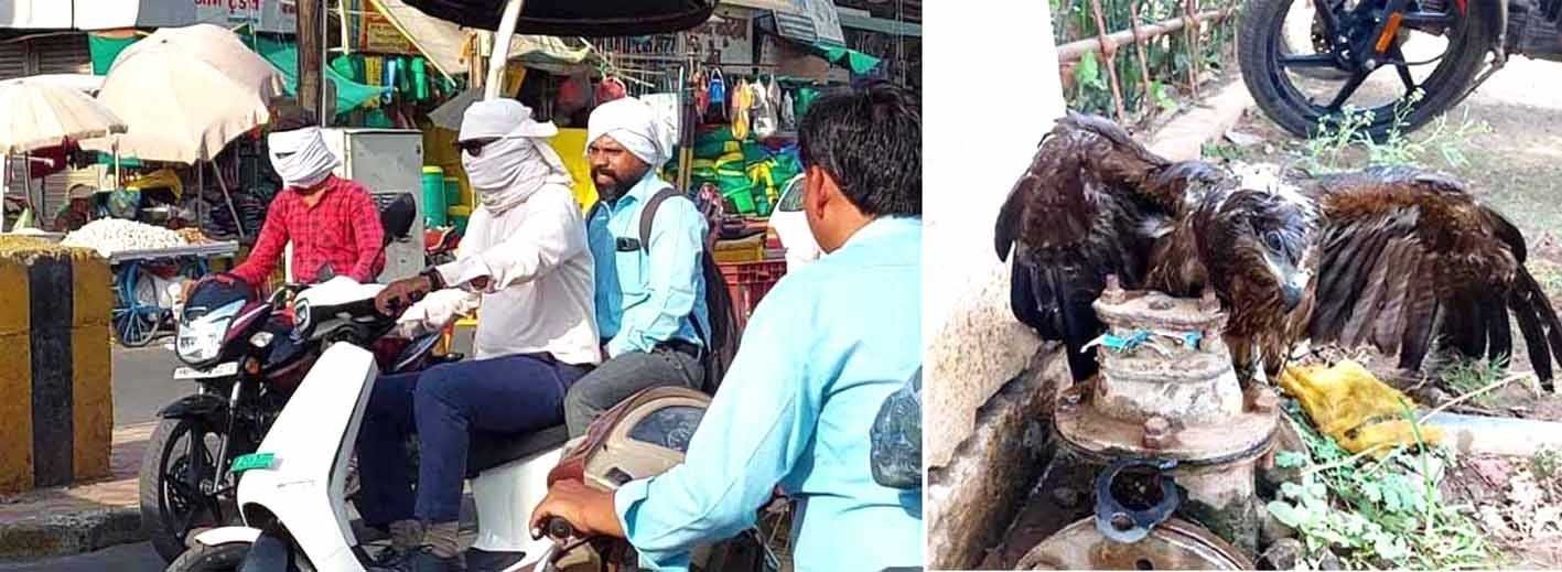 गर्मी से बचाव कर निकल रहे लोग, आसमान से गिरी चील  