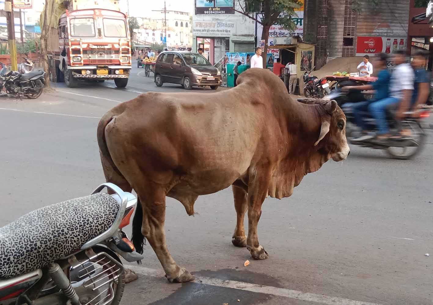 यह बात गलत है…