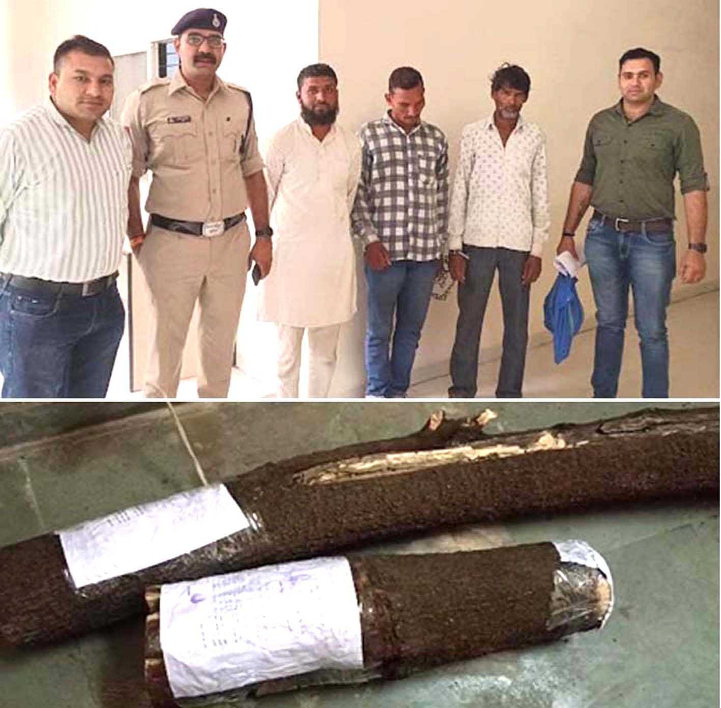 चंदन का पेड़ काटकर बेचने जा रहे चोर पुलिस के हत्थे चढ़े