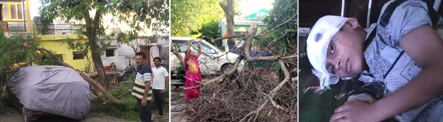 आंधी का तांडव दो बच्चे घायल, दर्जनों जगह गिरे पेड़  
