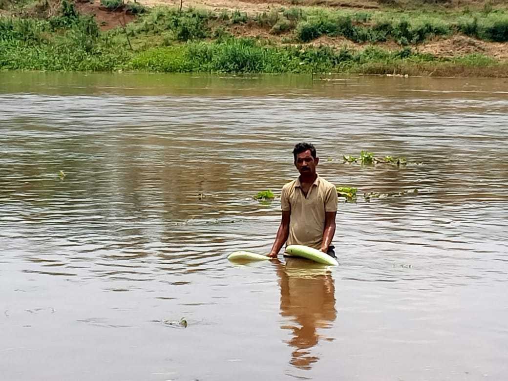 बाढ़ में बह गई डंगर बाड़ी 