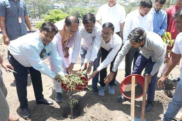 मुख्यमंत्री श्री चौहान ने पीपल, आम और इमली के पौधे लगाए