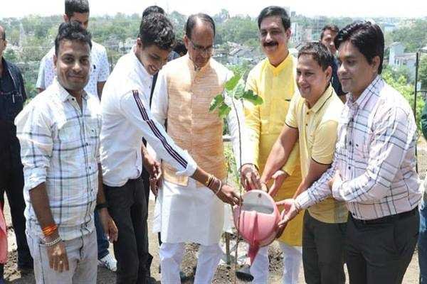 मुख्यमंत्री श्री चौहान ने लगाए बरगद, पीपल आम और जामुन के पौधे