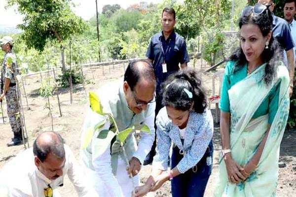 मुख्यमंत्री श्री चौहान ने लगाए बरगद, आम और करंज के पौधे