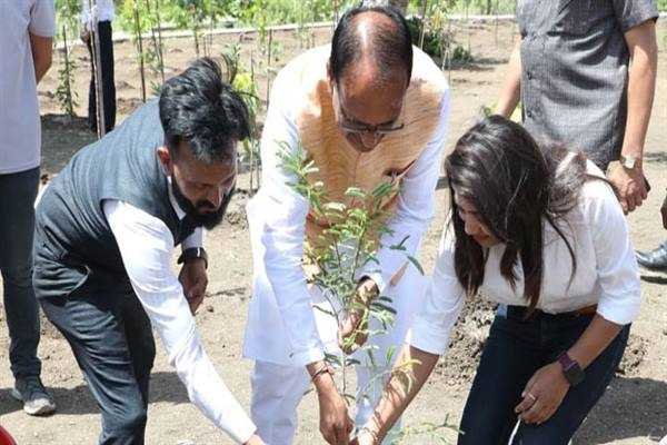 मुख्यमंत्री श्री चौहान ने पीपल, आम और इमली के पौधे लगाए