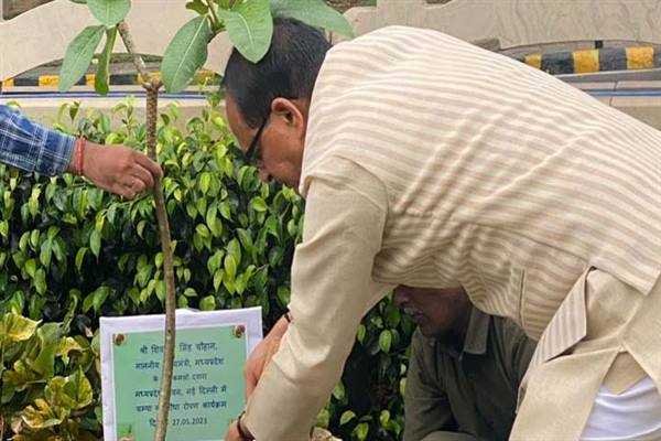 मुख्यमंत्री श्री चौहान ने नई दिल्ली प्रवास पर पौधा-रोपण किया