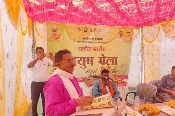 आयुर्वेद में बीमारियों को जड़ से नष्ट करने की क्षमता