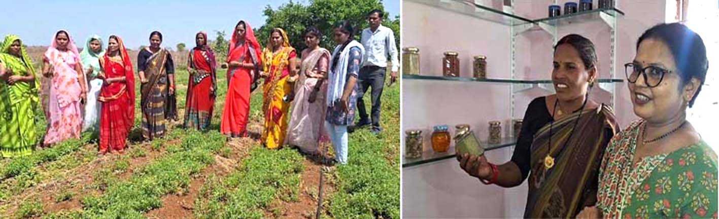 स्वसहायता समूह से महिलाओं ने तय किया कंपनी तक का सफर