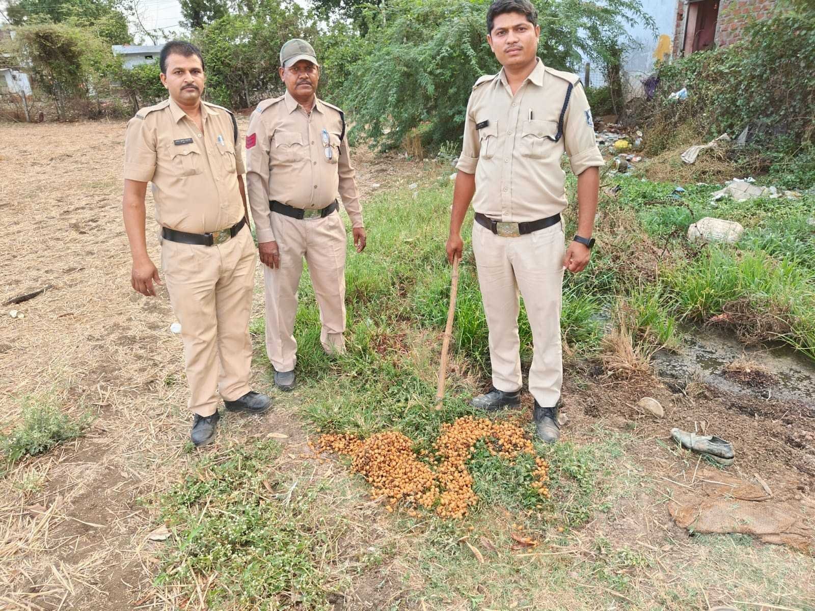 अवैध शराब के विरुद्ध बड़ी कार्यवाही