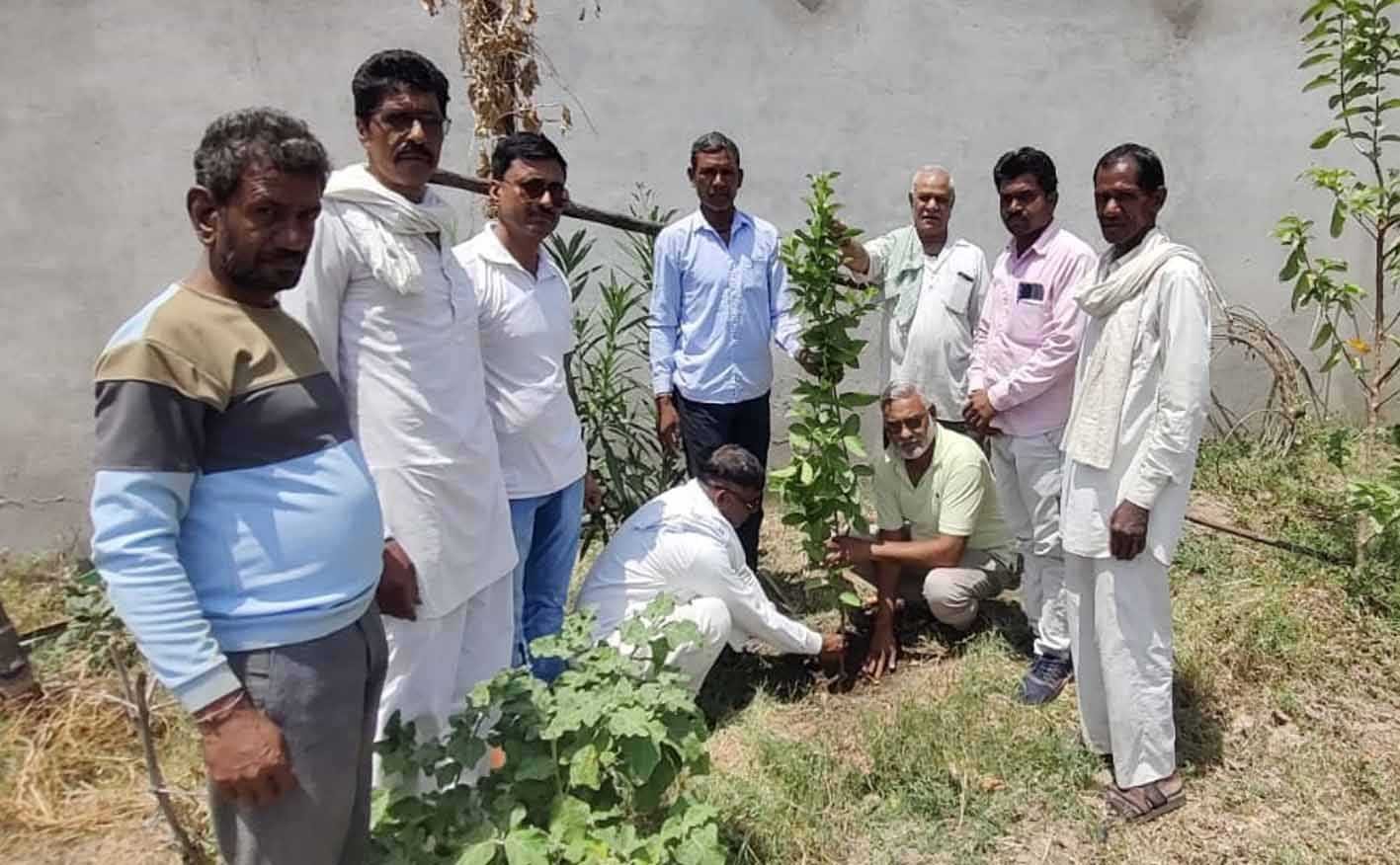 पौधरोपण कर स्वच्छता का दिया संदेश