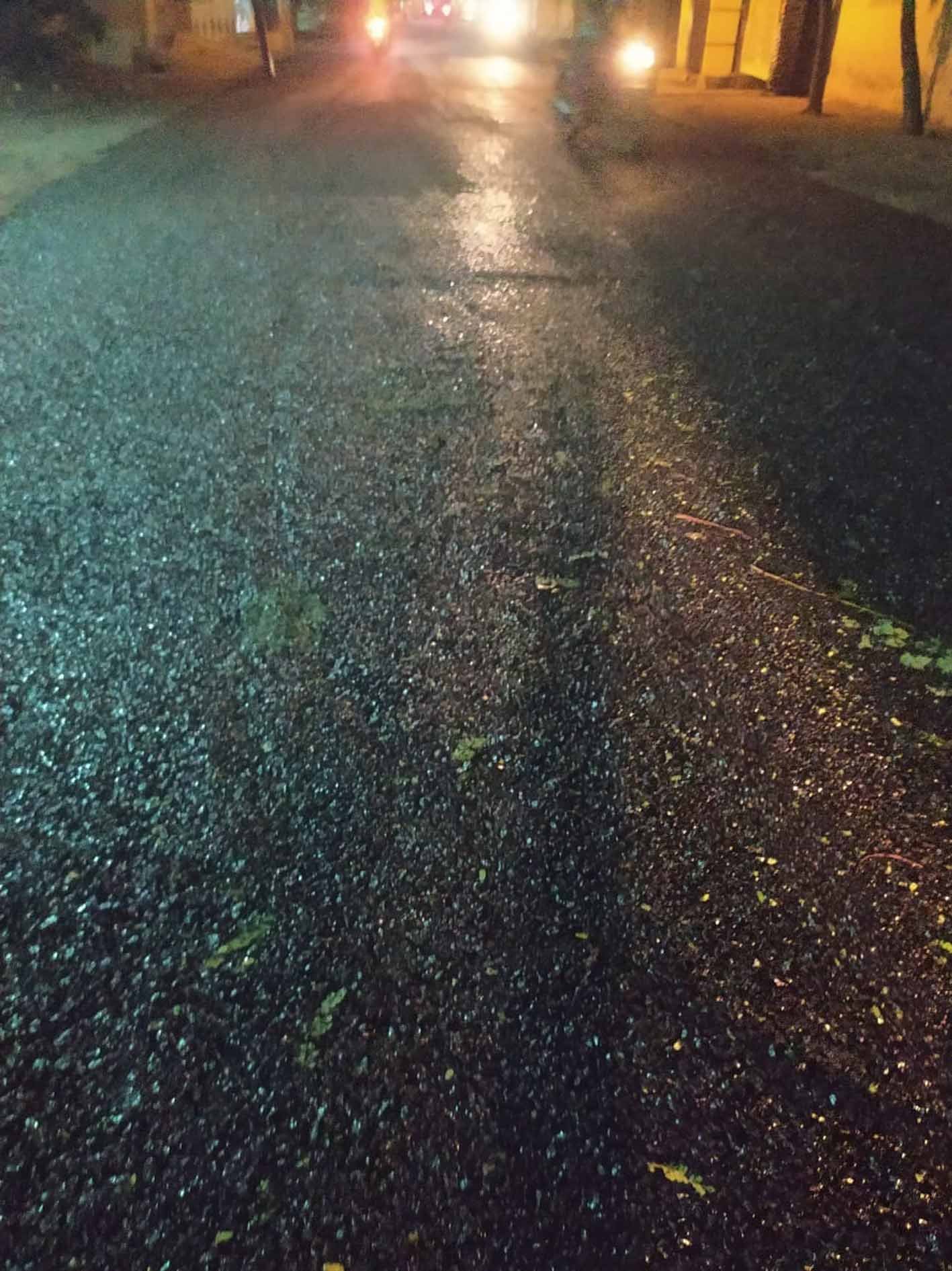 नगर के विभिन्न वार्डो में डामरीकरण शुरू
