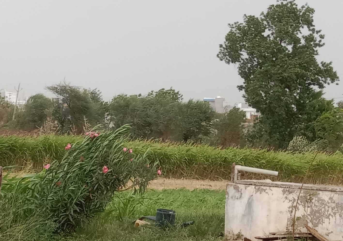 यह बात गलत है….