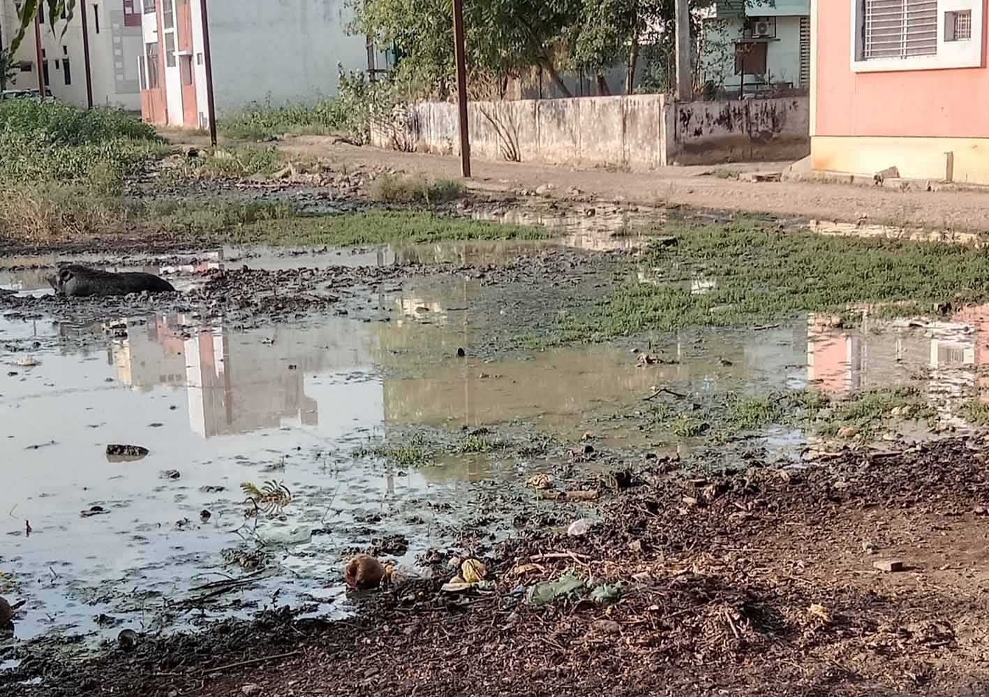 यह बात गलत है….