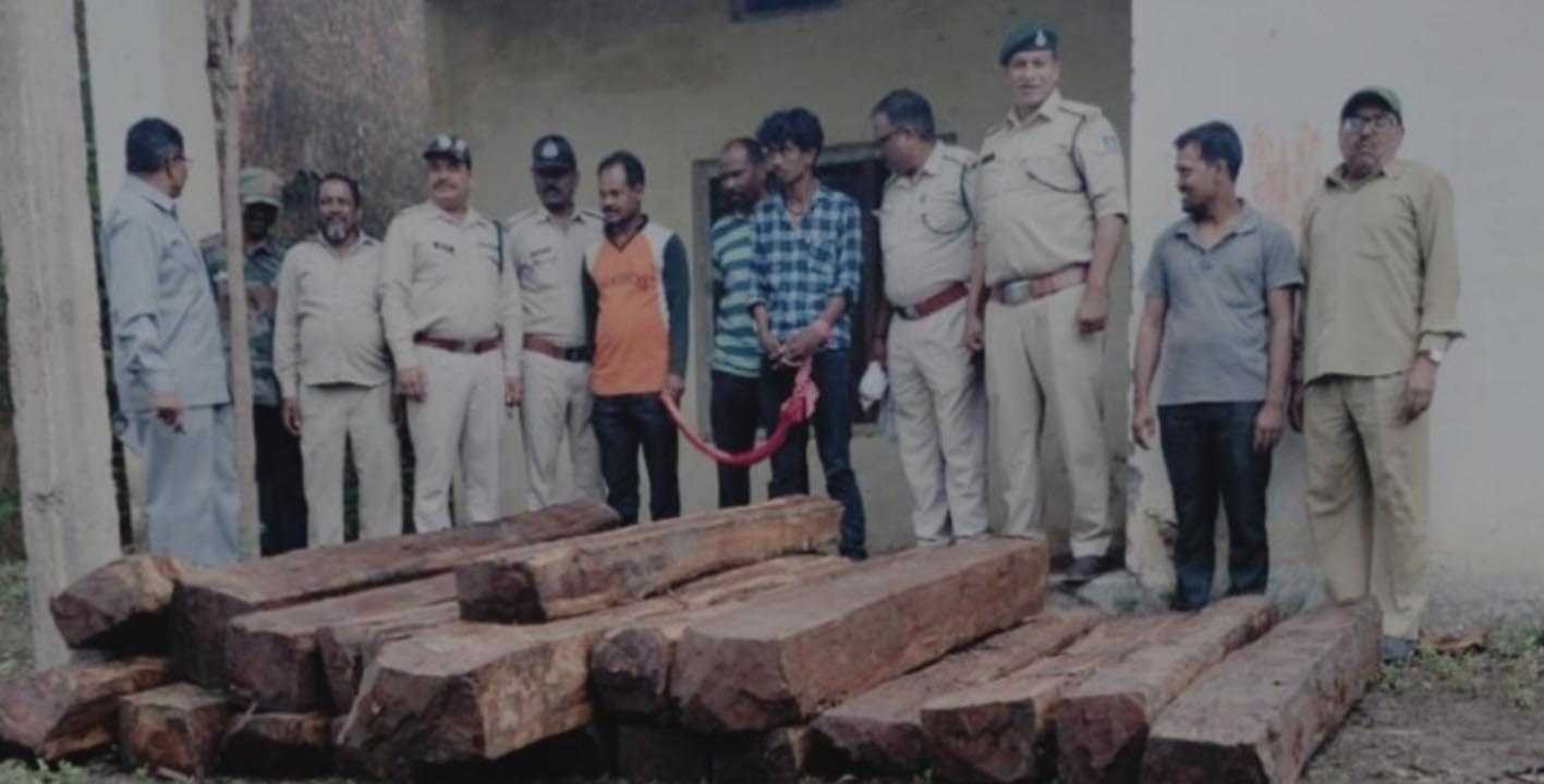 अवैध सागौन से भरी पिकअप पकड़ी