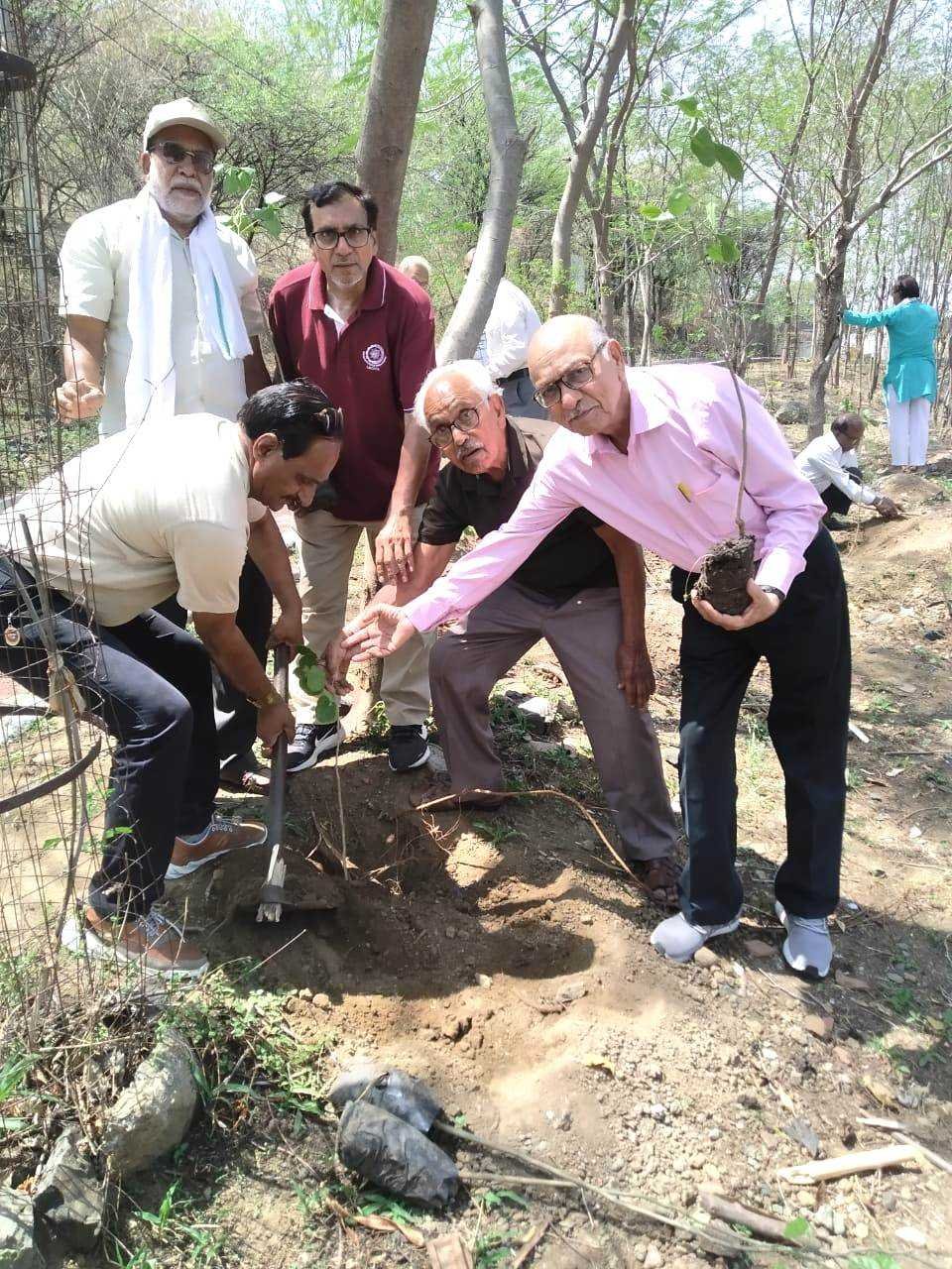माता टेकरी पर 50 पौधों का वरिष्ठजनों ने किया रोपण, दर्शनार्थियों को पौधारोपण हेतु किया प्रेरित