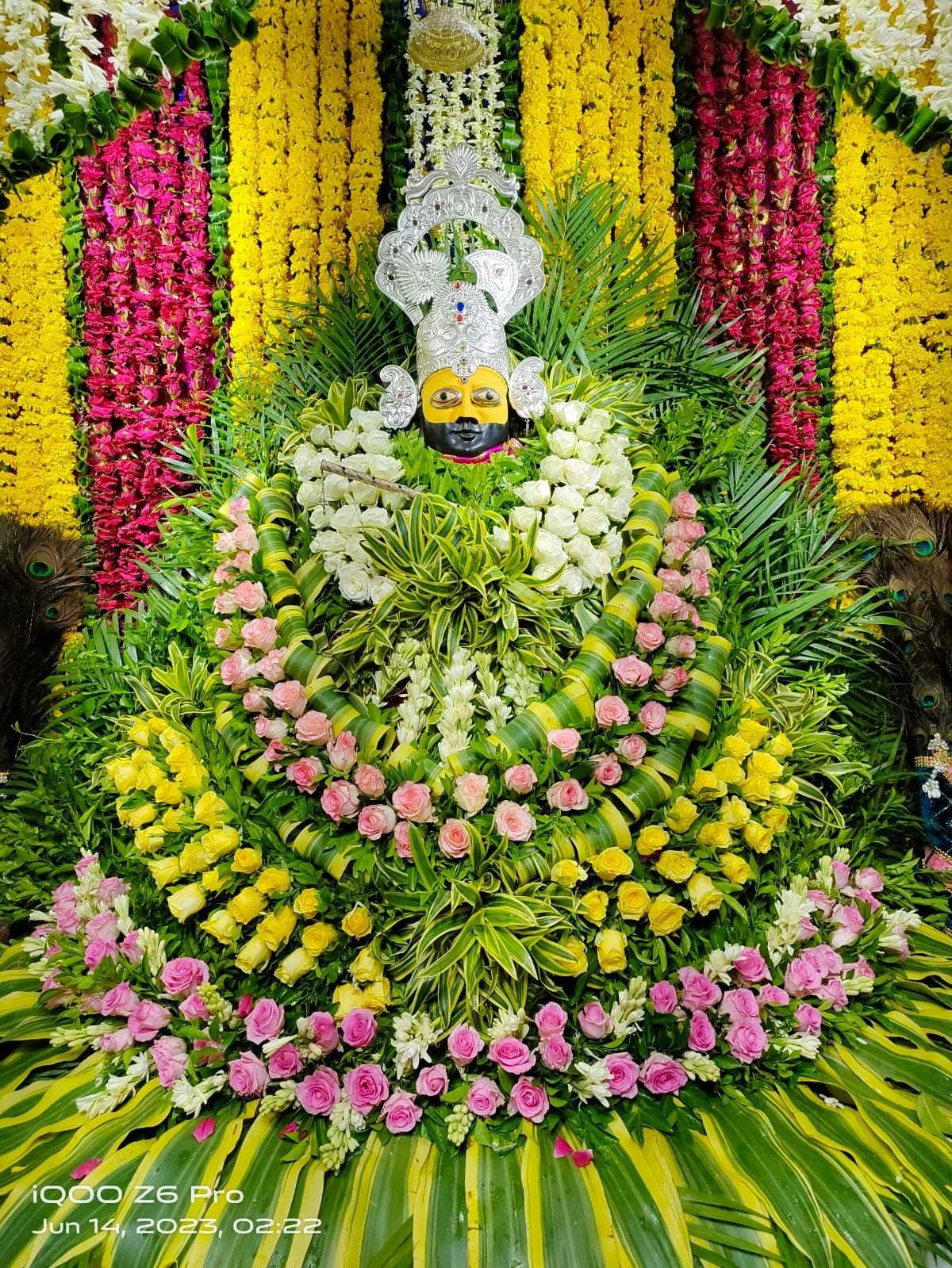 श्याम दरबार मे एकादशी पर भक्तों ने लगाई हाजरी