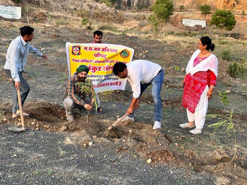 शंकरगढ़ पहाड़ी पर किया पौधारोपण, सतत जारी रहेगा अभियान