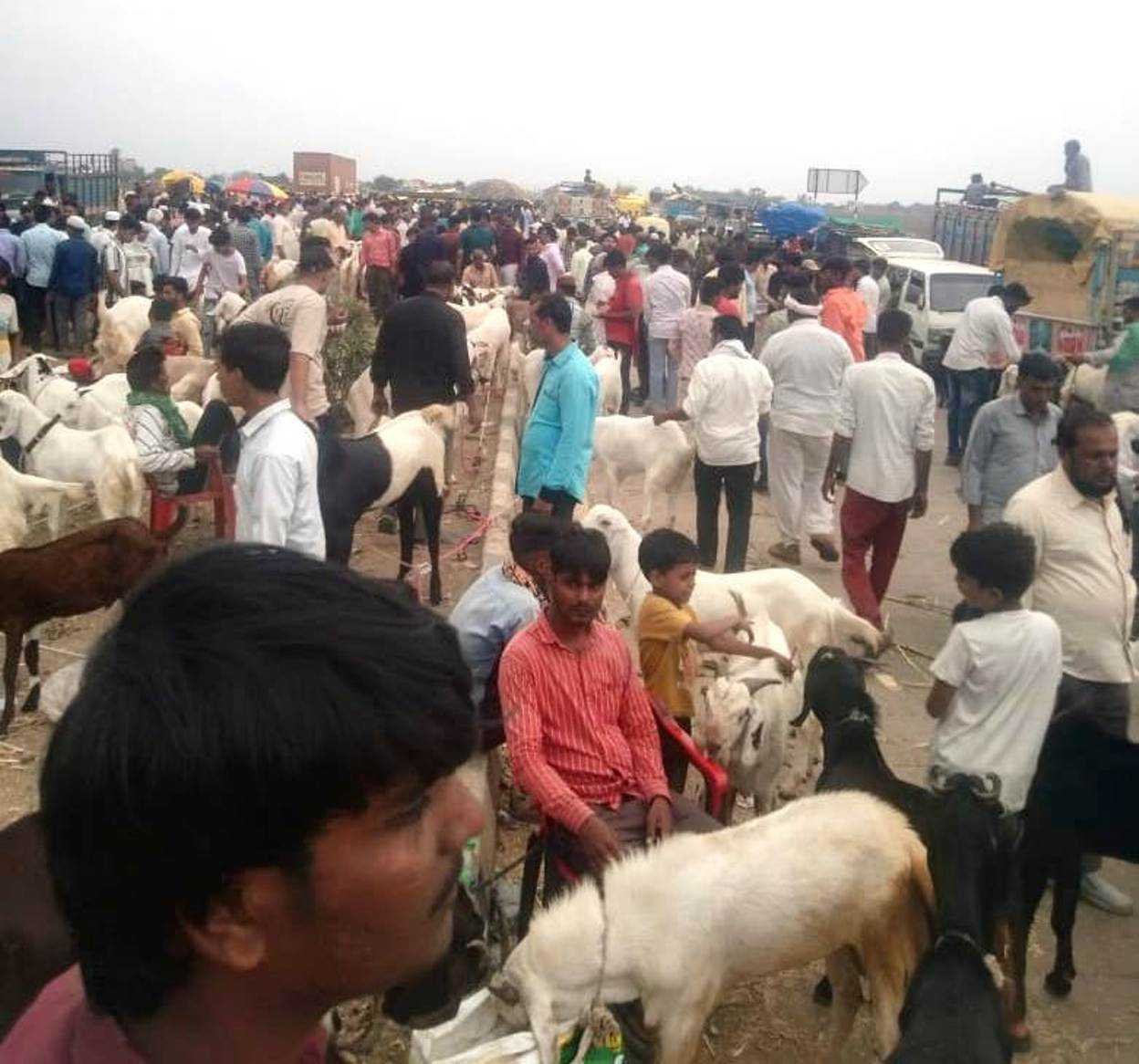 पशु हाट के दौरान फैली अव्यवस्था का जिम्मेदार नगर निगम- घोसी