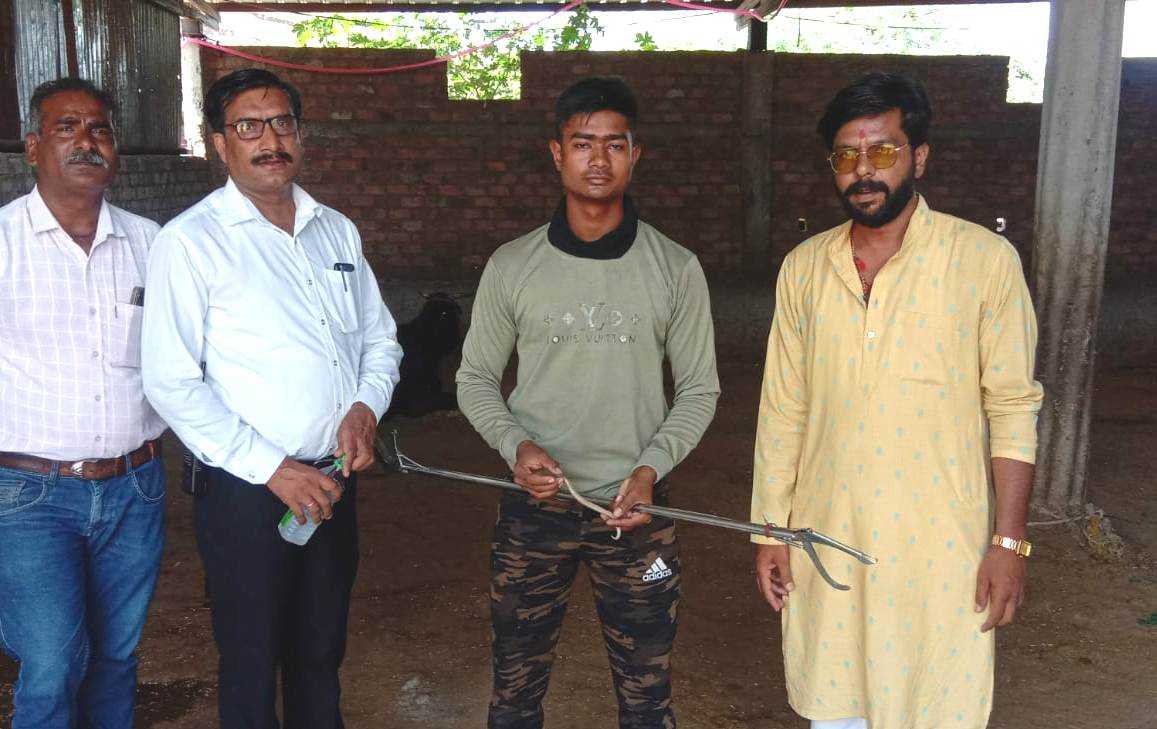 शंकरगढ़ गौशाला में दिवढ़ को पकडक़र अन्यत्र जगह छोड़ा
