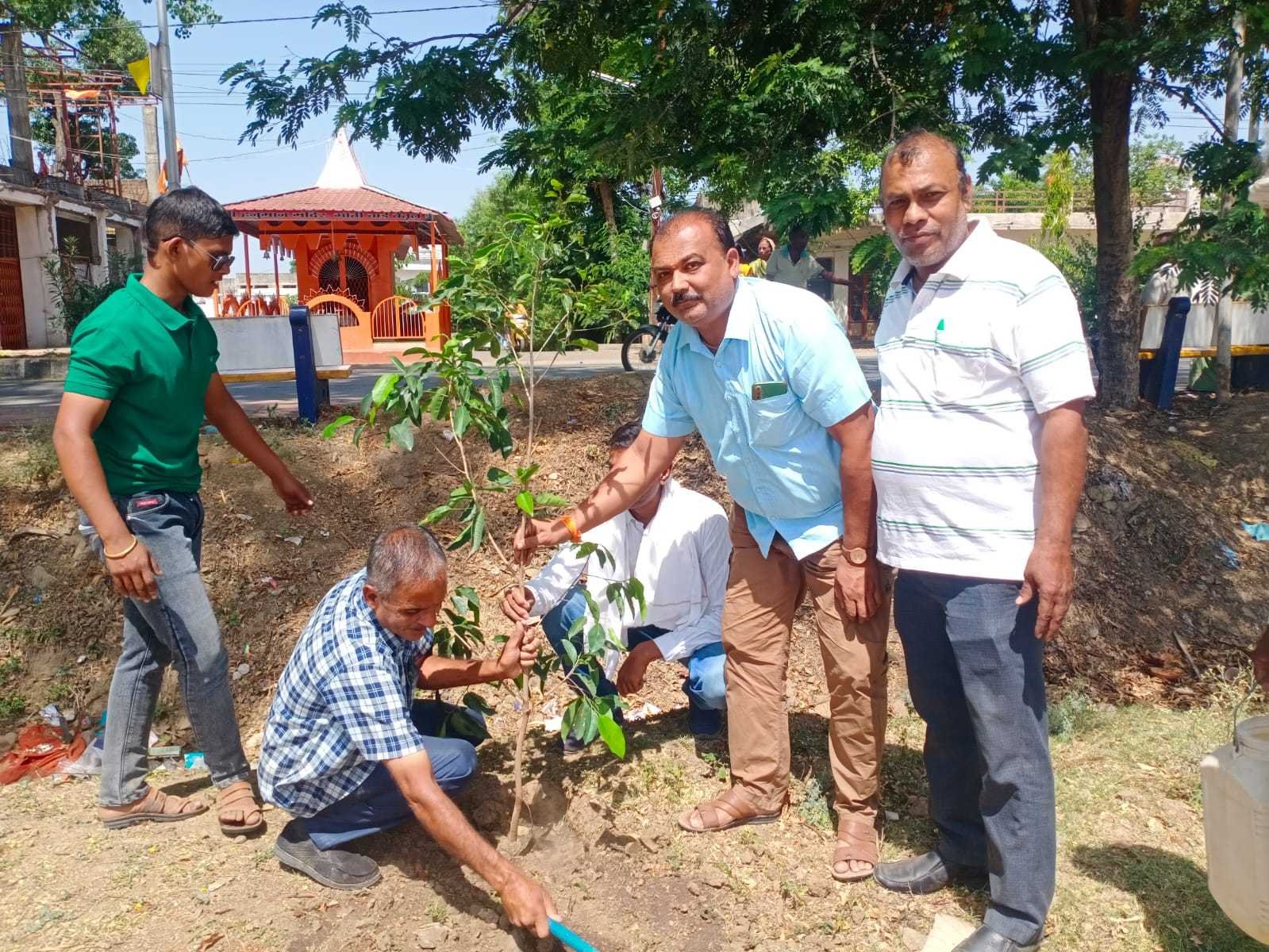 न्यू बैतूल स्कूल ग्राउंड कोठी बाजार में चलाया  पौधारोपण अभियान