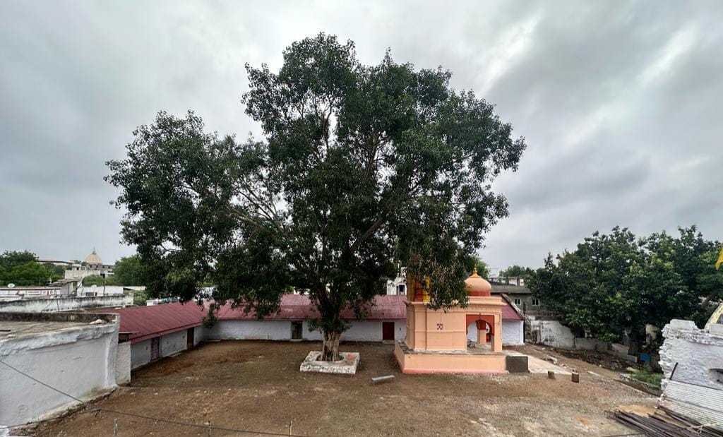 ग्यारह लाख पार्थिव शिवलिंग का होगा निर्माण व विसर्जन
