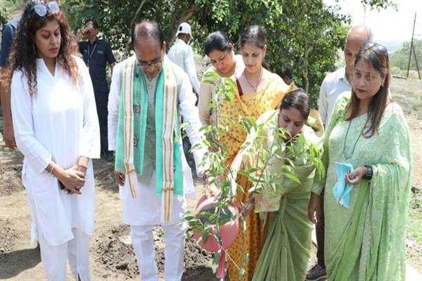 मुख्यमंत्री श्री चौहान के साथ पौध-रोपण कर मनाया जन्म-दिवस
