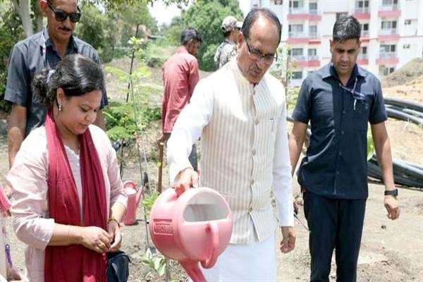 मुख्यमंत्री श्री चौहान ने नीम, जामुन और करंज के पौधे रोपे