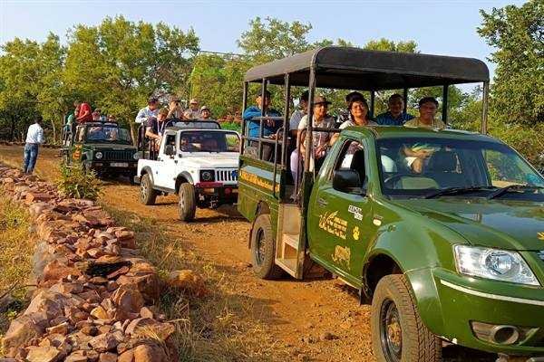 साईन्स ग्रुप के प्रतिनिधियों ने वन विहार में किया भ्रमण