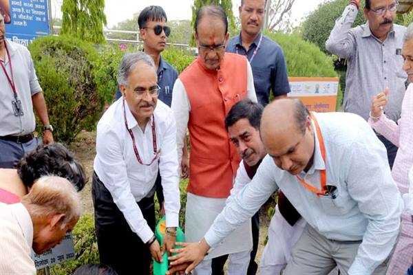 योग व्यक्ति को सकारात्मकता और नई ऊर्जा प्रदान करता है