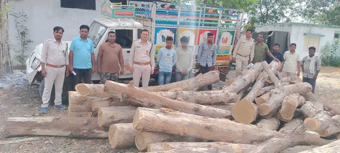 वन विभाग की टीम ने 40 नग सागौन काष्ठ जप्त की
